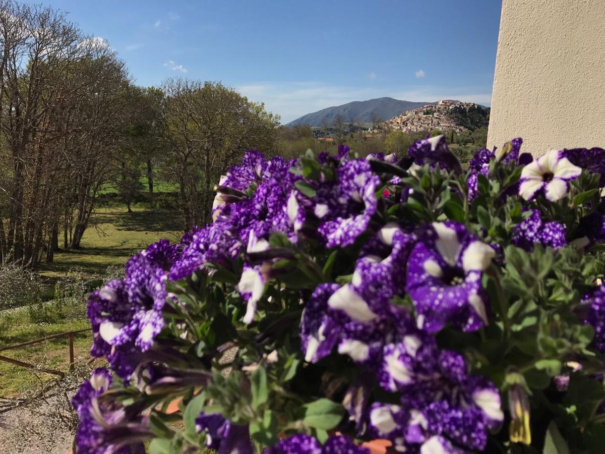 Agriturismo L'Ulivo Падула Екстер'єр фото