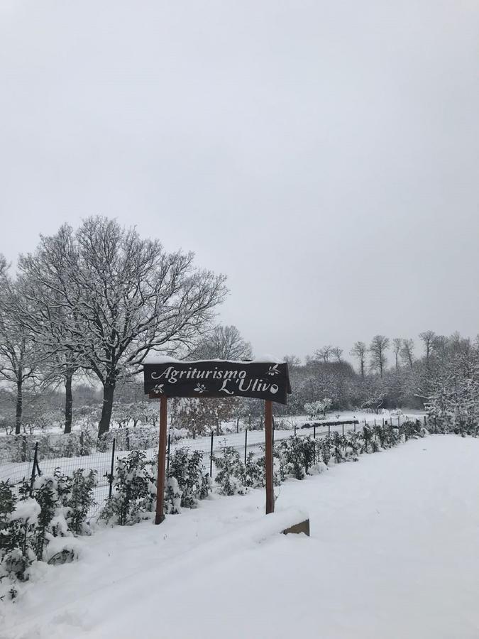 Agriturismo L'Ulivo Падула Екстер'єр фото
