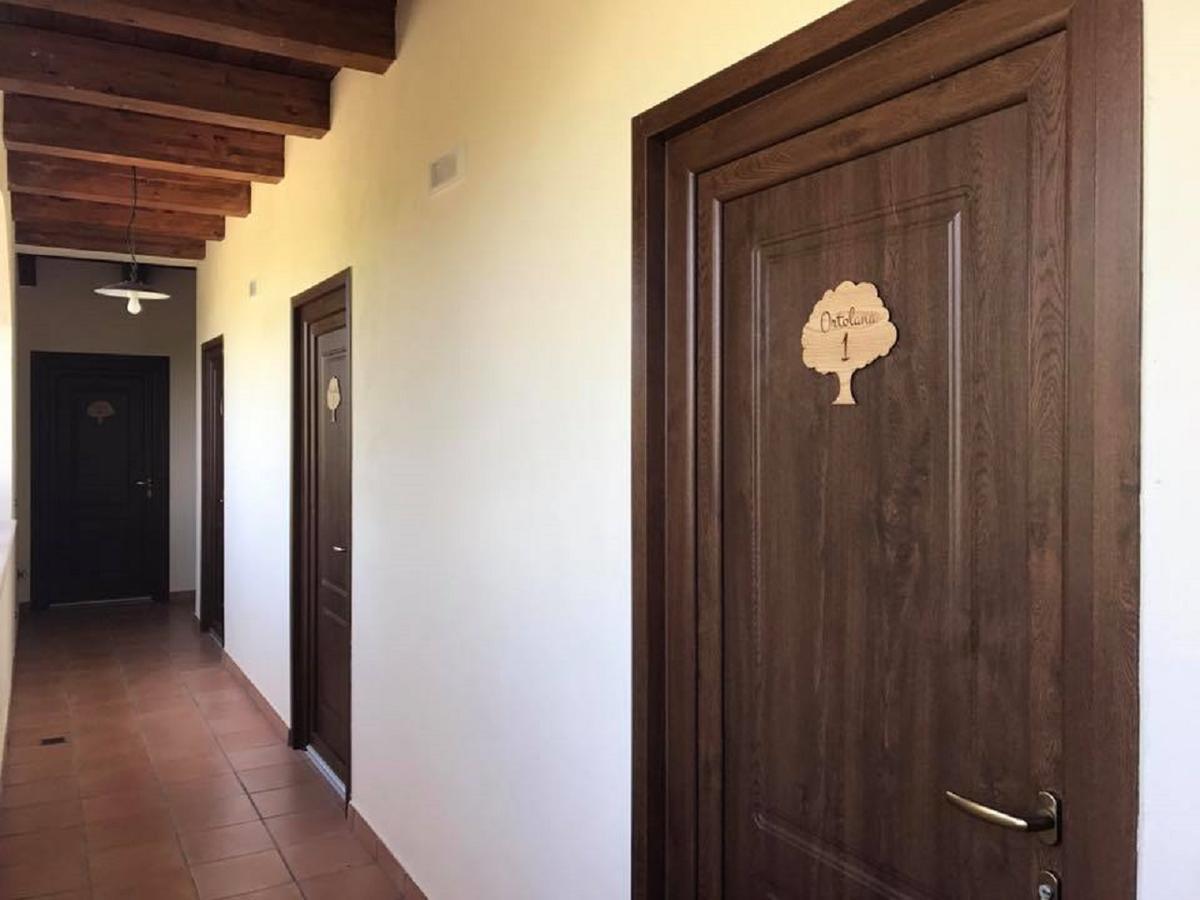 Agriturismo L'Ulivo Падула Екстер'єр фото